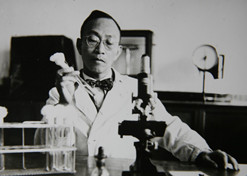 1955年，汤飞凡主持的沙眼研究小组疏散出天下上第一株“沙眼衣原体”，命名为TE8，后在国际医学界引起重大回声